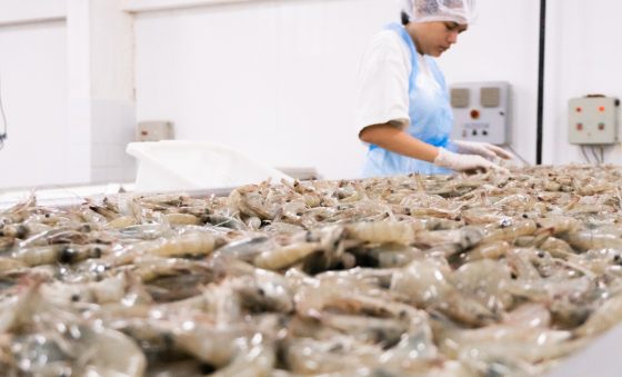 Exportação de pescado no Ceará salta 66,7% em um ano, segundo Sedet